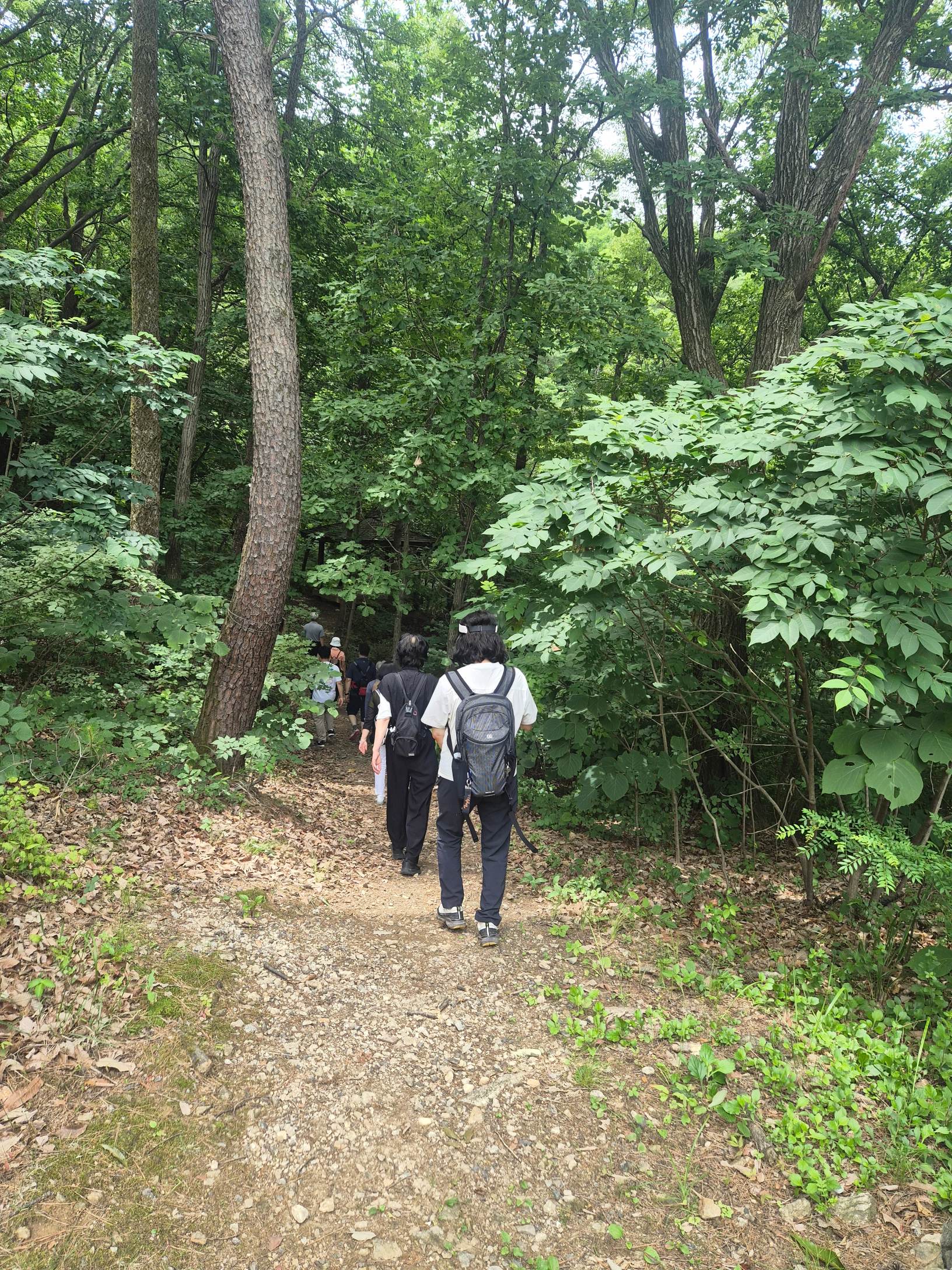 등산4.jpg
