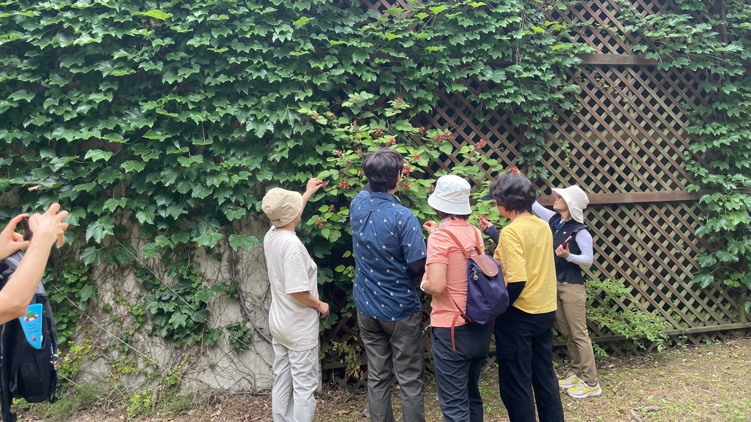 등산9.jpg