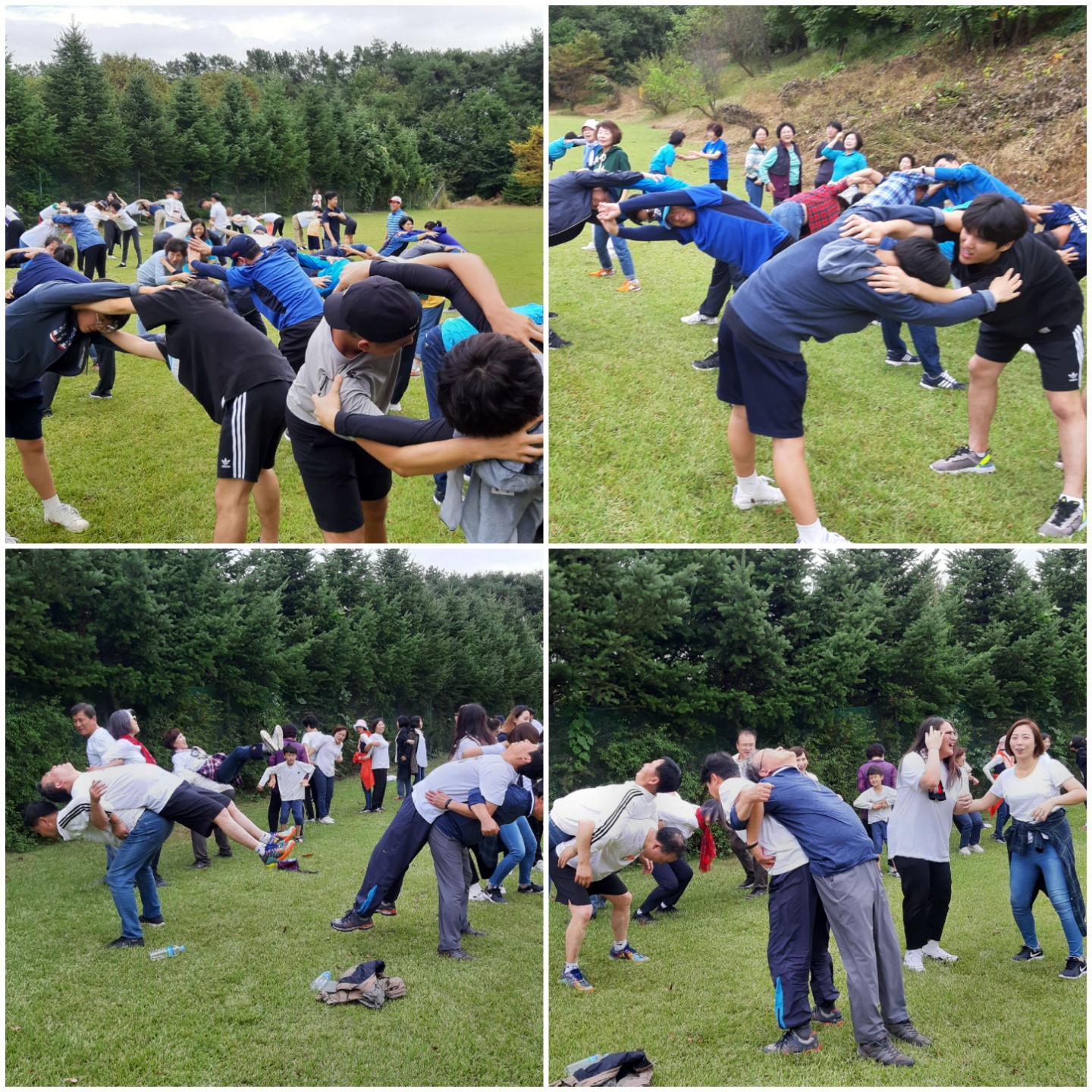 체육11.jpg