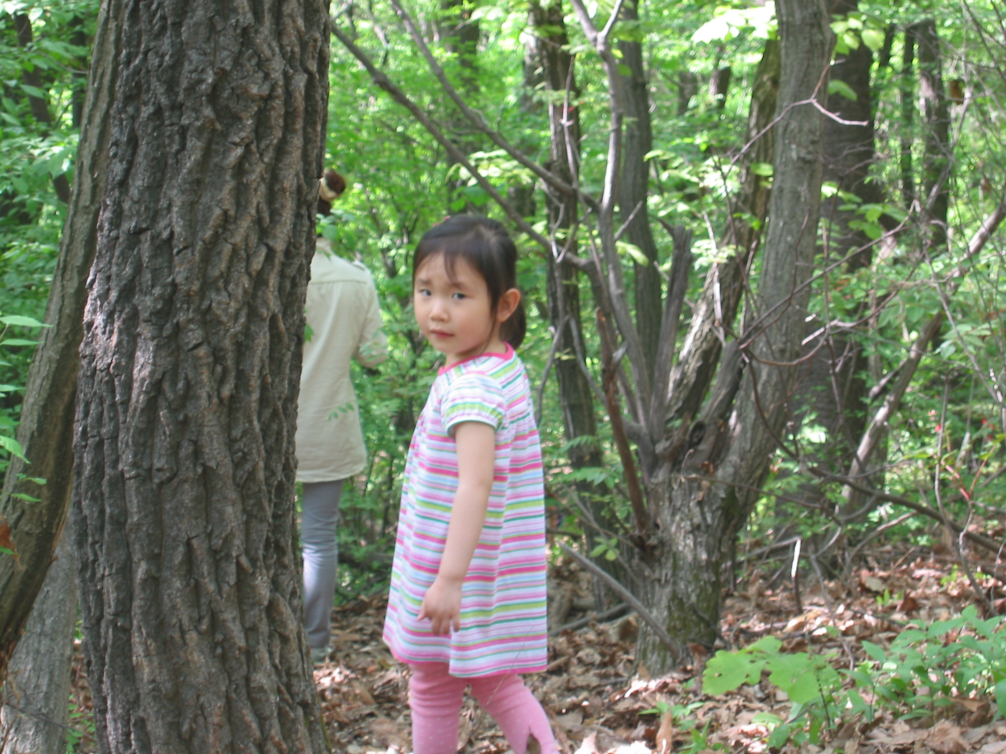 STA_0007.JPG